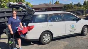 professional home cleaning