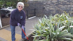 office gardening commercial gardeners